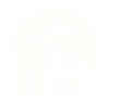 MAMUT-PERU.png
